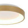 Steinhauer lights Ringlede ceiling light LED gold, 1-light source