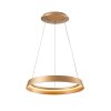 Steinhauer lights Ringlux pendant light LED gold, 1-light source