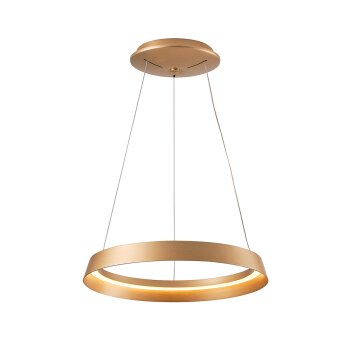 Steinhauer lights Ringlux pendant light LED gold, 1-light source