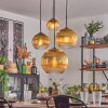 Koyoto hanging light, globe light, pendant light gold, clear, 4-light sources