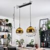 Gastor hanging light, globe light, pendant light gold, clear, 2-light sources