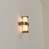 Blinneberg outdoor light, outdoor wall light LED matt nickel, 2-light sources