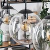 Gastor hanging light, globe light, pendant light clear, 3-light sources