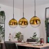 Gastor hanging light, globe light, pendant light gold, clear, 3-light sources