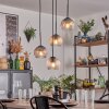 Koyoto hanging light, globe light, pendant light Amber, clear, Smoke-coloured, 4-light sources