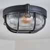 Godel outdoor ceiling light, ceiling light black, 1-light source