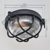 Godel outdoor ceiling light, ceiling light black, 1-light source