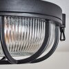 Godel outdoor ceiling light, ceiling light black, 1-light source