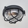 Godel outdoor ceiling light, ceiling light black, 1-light source