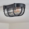 Godel outdoor ceiling light, ceiling light black, 1-light source