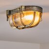 Godel outdoor ceiling light, ceiling light gold, black, 1-light source