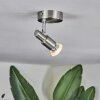 Trio lights Gropptorp ceiling light, ceiling spotlight LED matt nickel, 1-light source