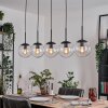 Gastor hanging light, globe light, pendant light clear, 5-light sources