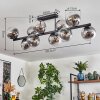 Gastor ceiling light, globe light clear, Smoke-coloured, 10-light sources