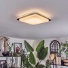 Carregueira ceiling light, Panel LED silver, white, 1-light source, Motion sensor