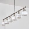 Warga hanging light, globe light, pendant light LED matt nickel, 6-light sources