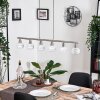 Warga hanging light, globe light, pendant light matt nickel, 6-light sources