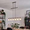 Warga hanging light, globe light, pendant light matt nickel, 6-light sources