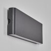 Gamas outdoor wall light, wall light, wall spotlight anthracite, 1-light source