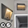 Pedreiras outdoor wall light, solar light, wall light LED anthracite, 1-light source, Motion sensor