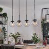 Gastor hanging light, globe light, pendant light clear, 4-light sources