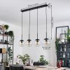 Gastor hanging light, globe light, pendant light clear, 4-light sources