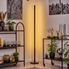 Uglestrup floor lamp LED black, 1-light source, Remote control, Colour changer