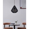 Eglo lights DOLWEN hanging light black, 1-light source