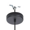 Eglo lights DOLWEN hanging light black, 1-light source