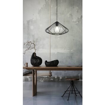 Eglo lights DOLWEN hanging light black, 1-light source