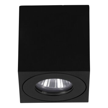 Eglo lights TORRECOLA outdoor light black, 1-light source