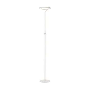 Lucide lights CELESTE floor lamp LED white, 1-light source