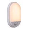 Lucide lights IR outdoor wall light LED white, 1-light source, Motion sensor