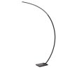 Lucide lights CURVE floor lamp LED black, 1-light source