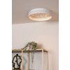 Lucide lights ESTREJA ceiling light LED white, 1-light source