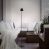 Leuchten Direkt lights EURIA floor lamp LED black, 1-light source