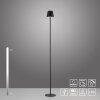 Leuchten Direkt lights EURIA floor lamp LED black, 1-light source