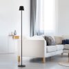 Leuchten Direkt lights EURIA floor lamp LED black, 1-light source