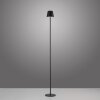 Leuchten Direkt lights EURIA floor lamp LED black, 1-light source