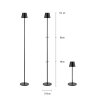 Leuchten Direkt lights EURIA floor lamp LED black, 1-light source