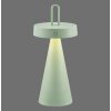 Leuchten Direkt lights ALWA table lamp LED green, 1-light source