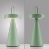 Leuchten Direkt lights ALWA table lamp LED green, 1-light source