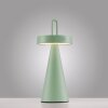 Leuchten Direkt lights ALWA table lamp LED green, 1-light source