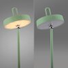 Leuchten Direkt lights AMAG table lamp LED green, 1-light source