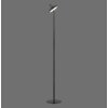 Leuchten Direkt lights AMAG floor lamp LED black, 1-light source