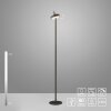 Leuchten Direkt lights AMAG floor lamp LED black, 1-light source