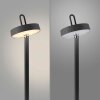 Leuchten Direkt lights AMAG floor lamp LED black, 1-light source