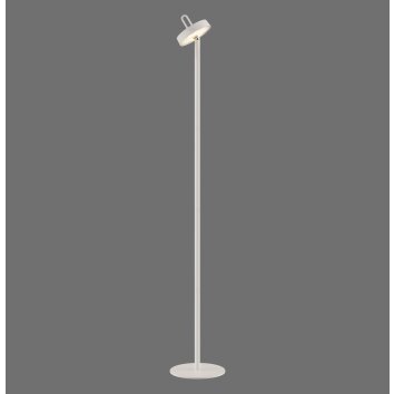 Leuchten Direkt lights AMAG floor lamp LED grey, 1-light source