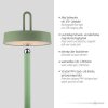 Leuchten Direkt lights AMAG floor lamp LED green, 1-light source