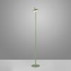 Leuchten Direkt lights AMAG floor lamp LED green, 1-light source